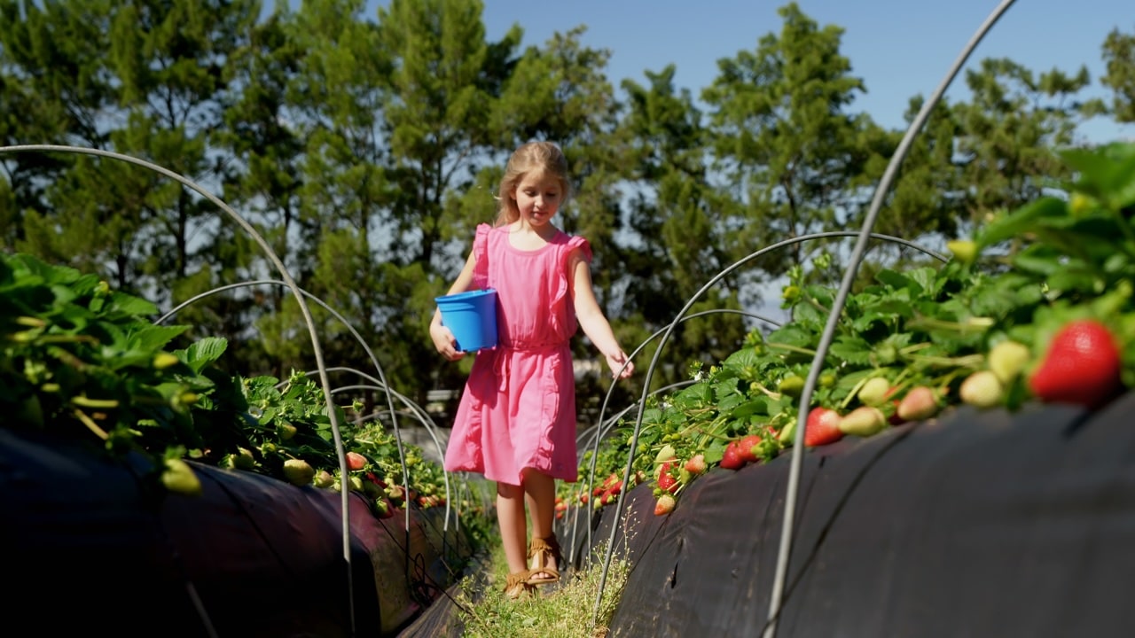 alimentazione sana